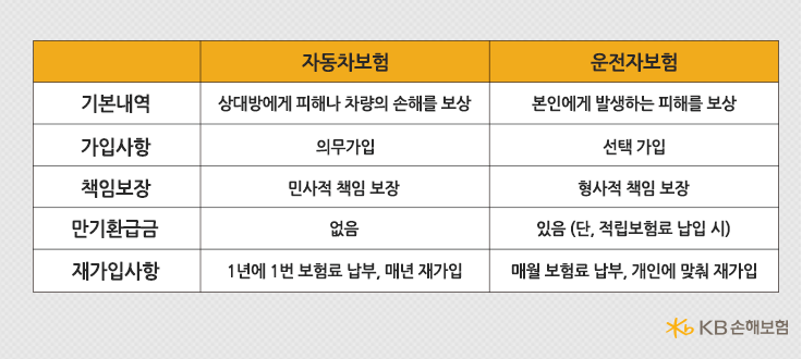 자동차 보험 운전자 보험 차이점 비교해보기