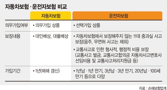 자동차 보험 운전자 보험 차이점 비교해보기